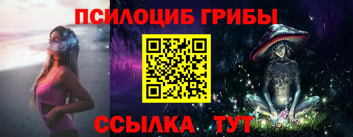 Дзержинск  Псилоцибиновые грибы Cubensis  Вход с VPN 